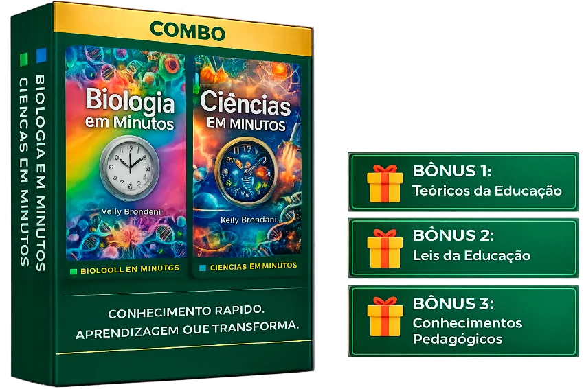Combo Box